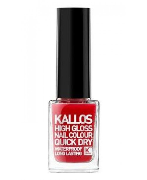Lac de unghii High Gloss 58